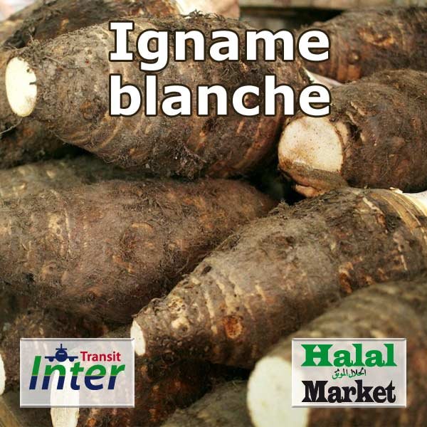 Igname blanche