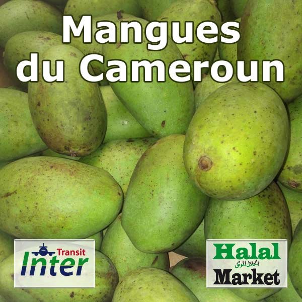 Mangue du Cameroun